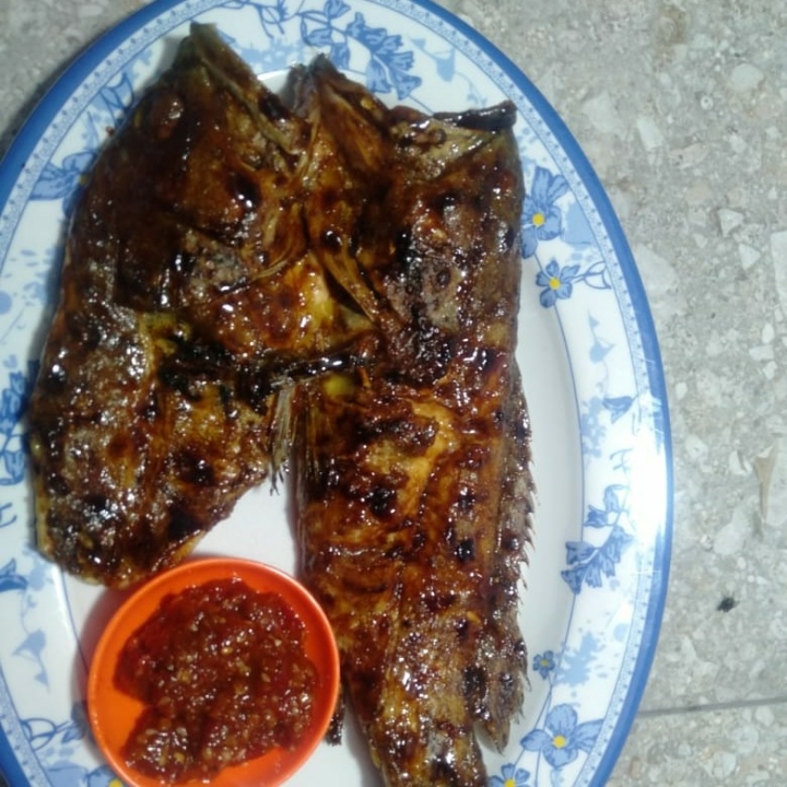 Ikan Kerapu