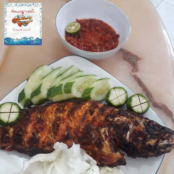 Ikan Kerapu