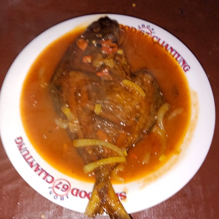 Ikan LAUT SAUS