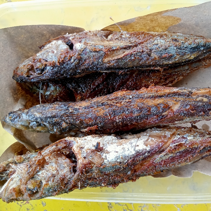 Ikan Layang 