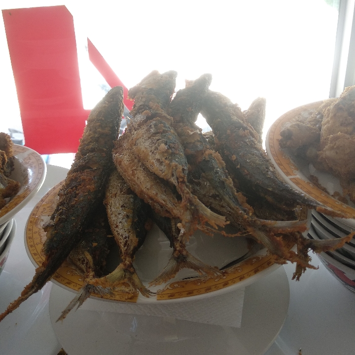 Ikan Layang