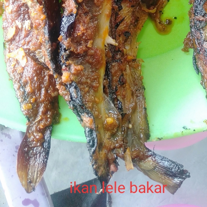 Ikan Lele Bakar