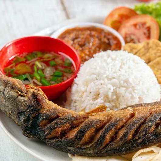 Ikan Lele Dan Nasi