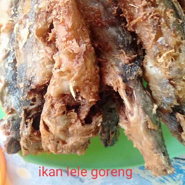 Ikan Lele Goreng