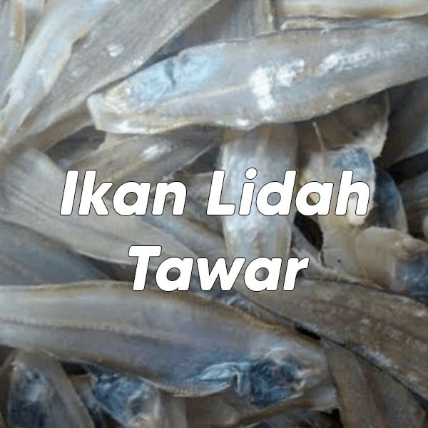 Ikan Lidah Tawar