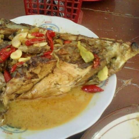 Ikan Manyung