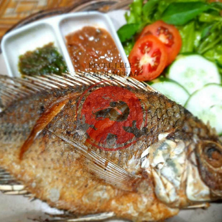 Ikan Mas - Nila - Mujaer Goreng