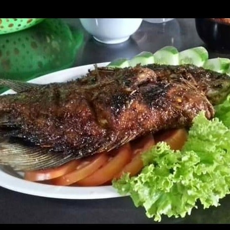 Ikan Mas 