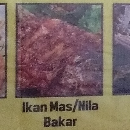 Ikan Mas dan Ikan Nila Bakar