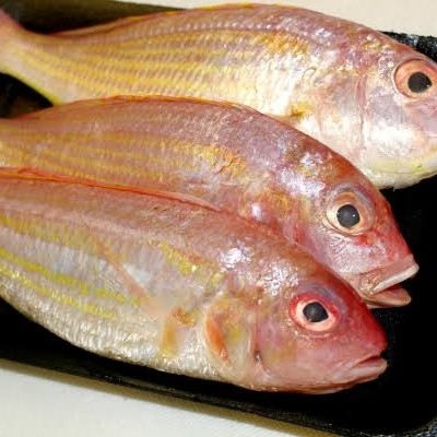 Ikan Merah