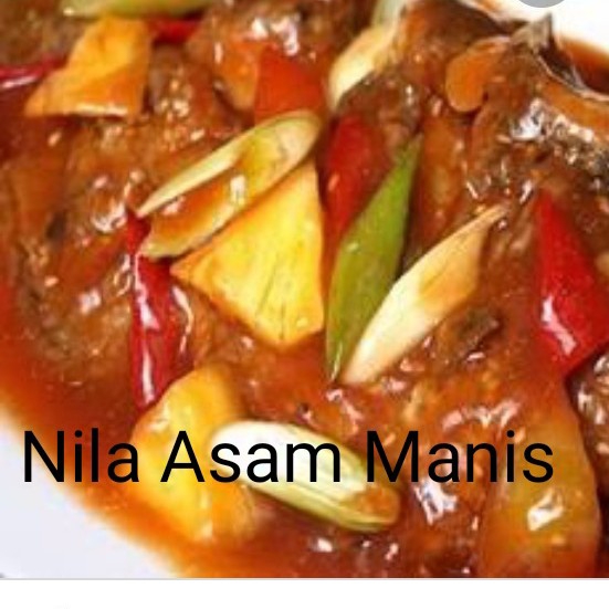 Ikan Nila 2