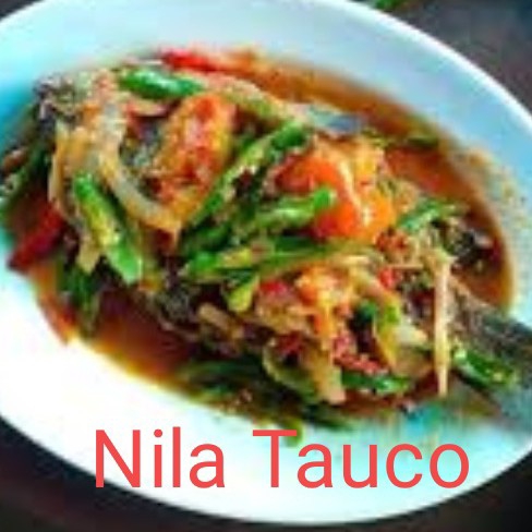 Ikan Nila 4