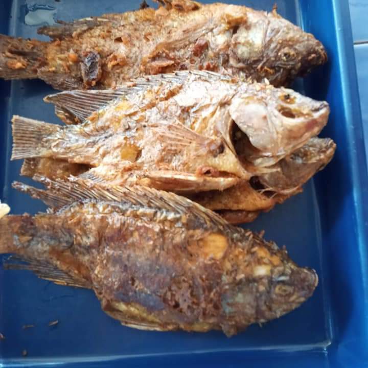 Ikan Nila Goreng