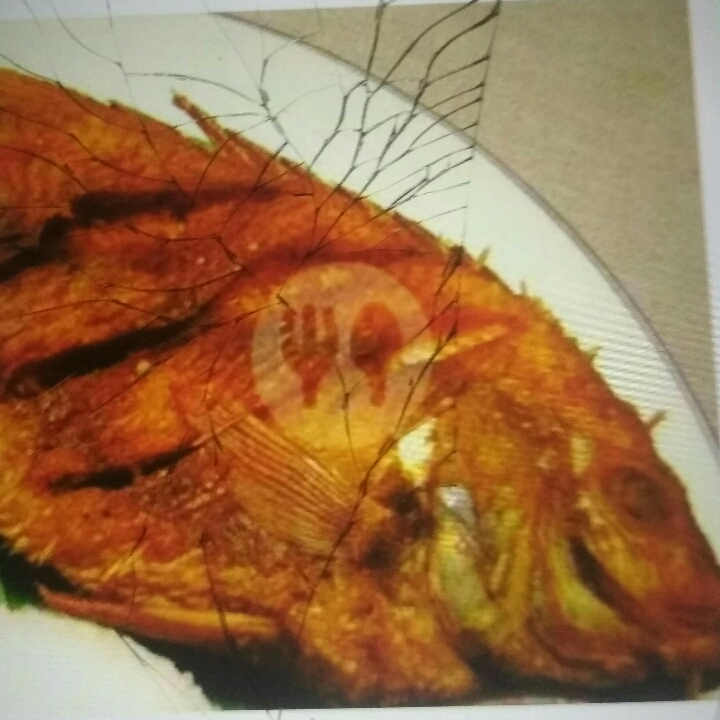 Ikan Nila Goreng Saja