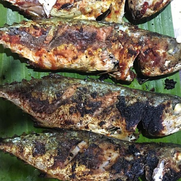 Ikan Peda