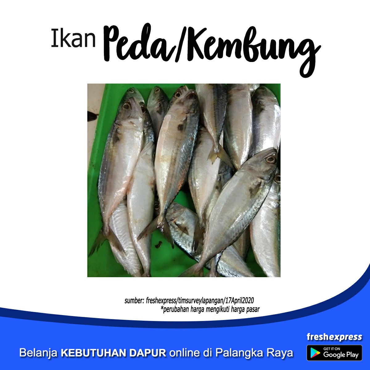 Ikan Peda 1 Kg