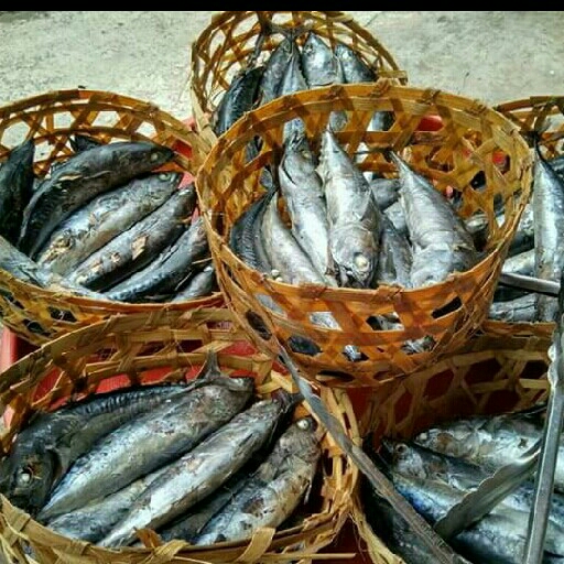 Ikan Segar Pindang