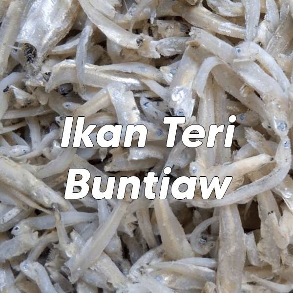 Ikan Teri Buntiau