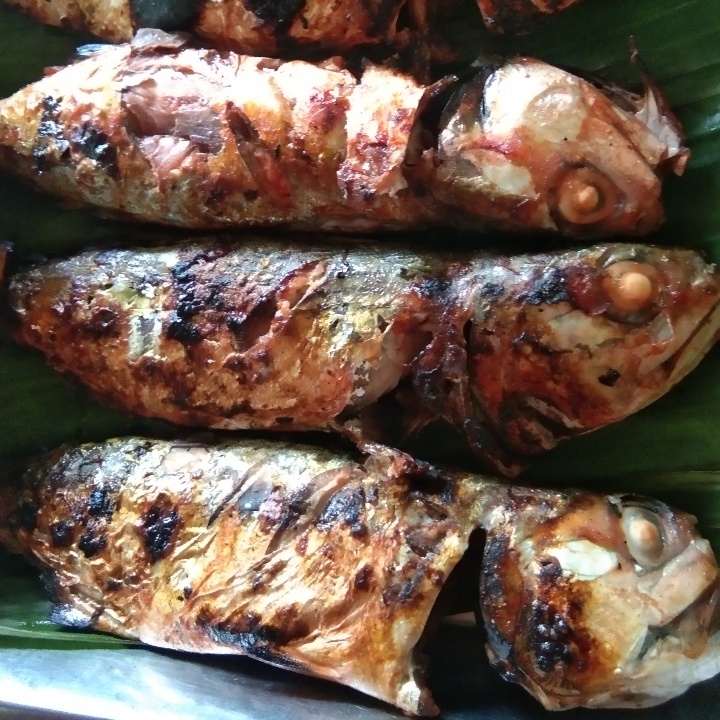 Ikan peda bakar