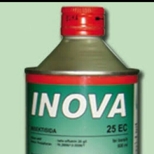 Inova