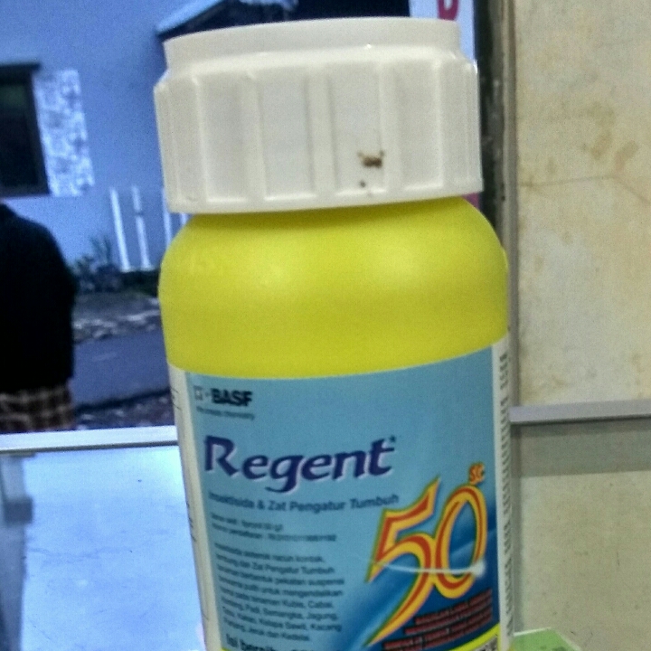 Insektisida Regent Cair 100ml