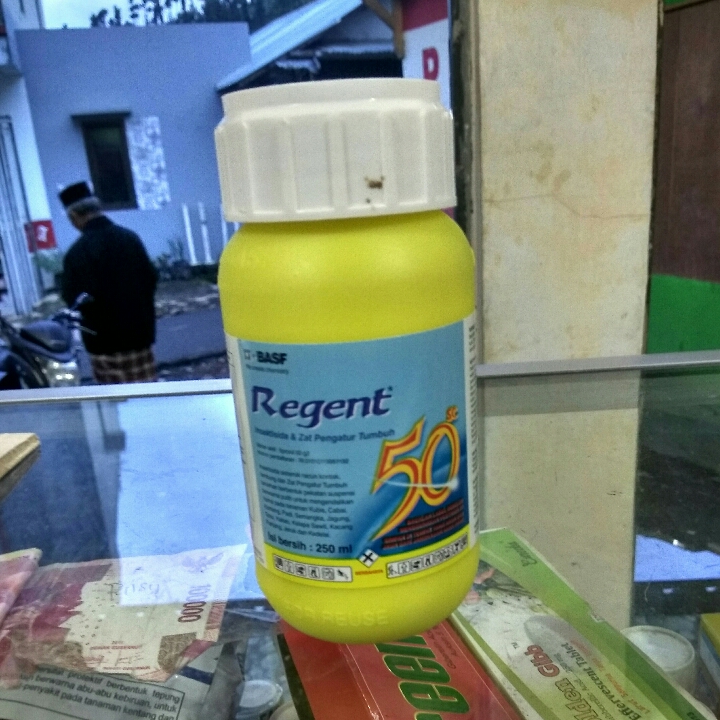 Insektisida Regent Cair 250ml