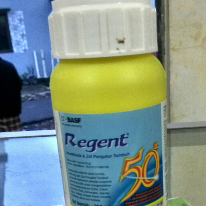 Insektisida Regent Cair 500ml