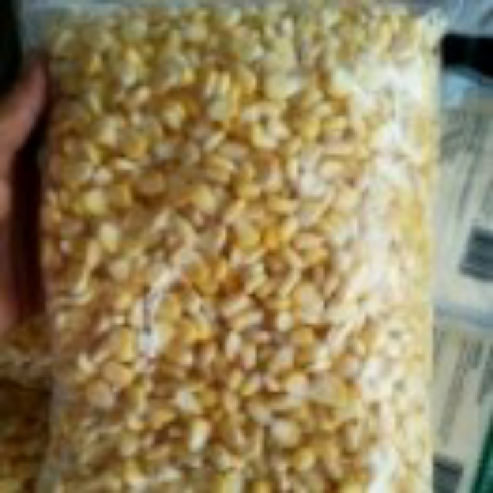 JAGUNG PIPIL