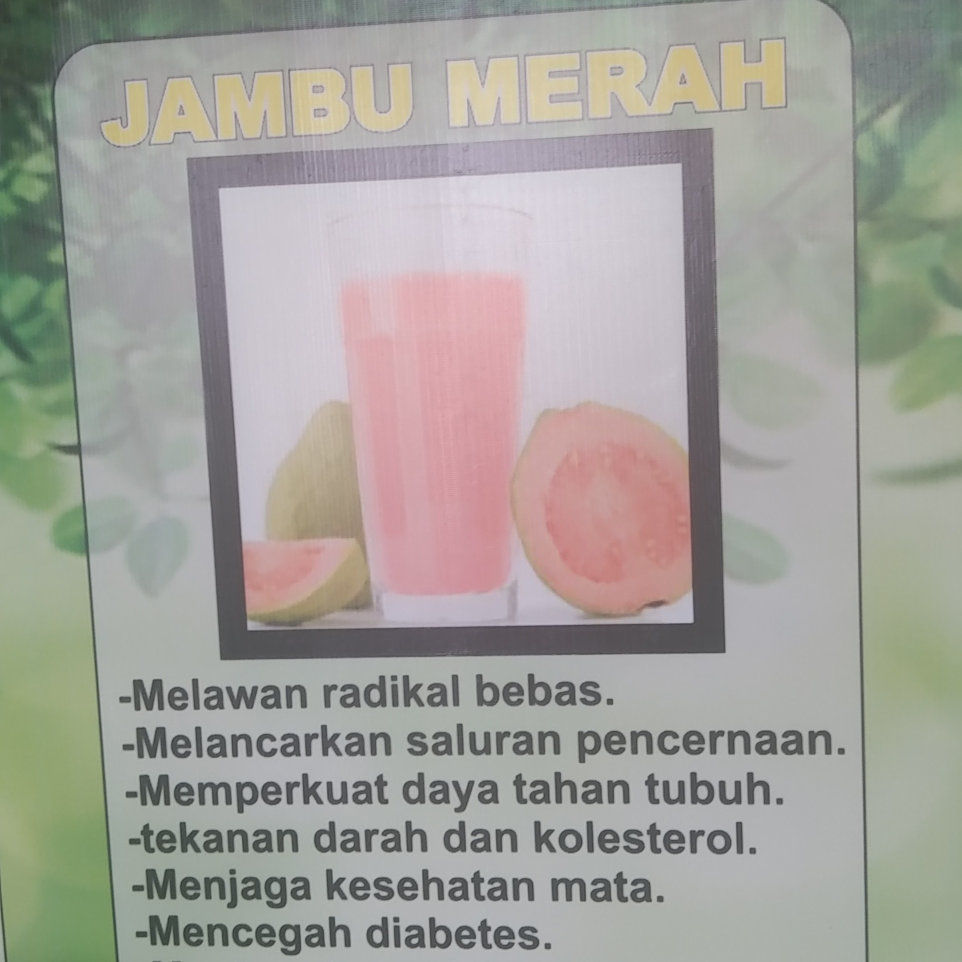 JAMBU MERAH