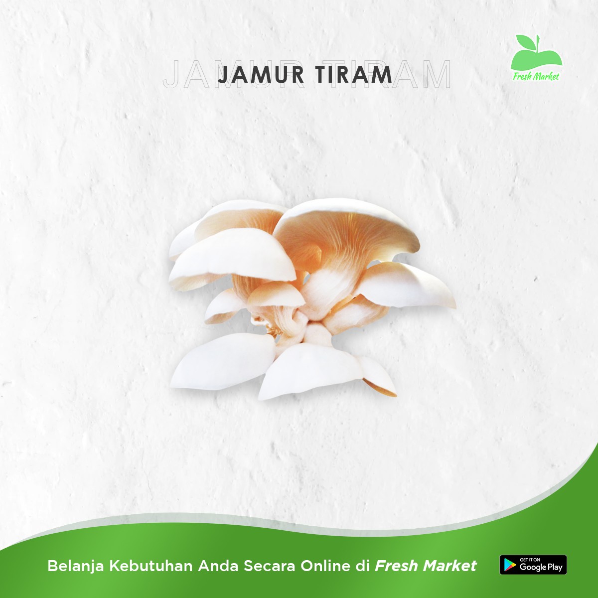 JAMUR TIRAM 1 PCS