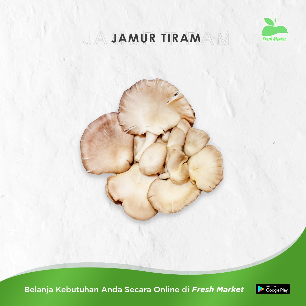 JAMUR TIRAM 1 PCS