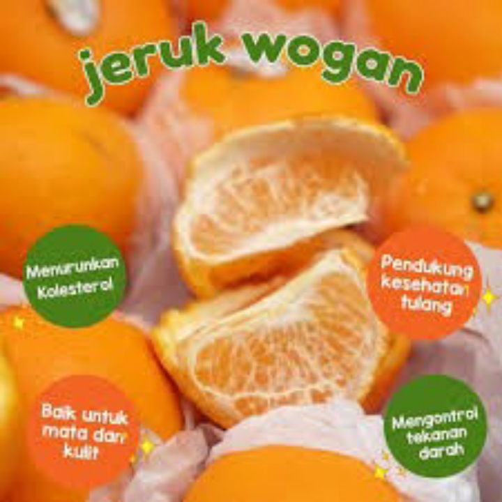 JERUK MANDARIN WOGAN 2