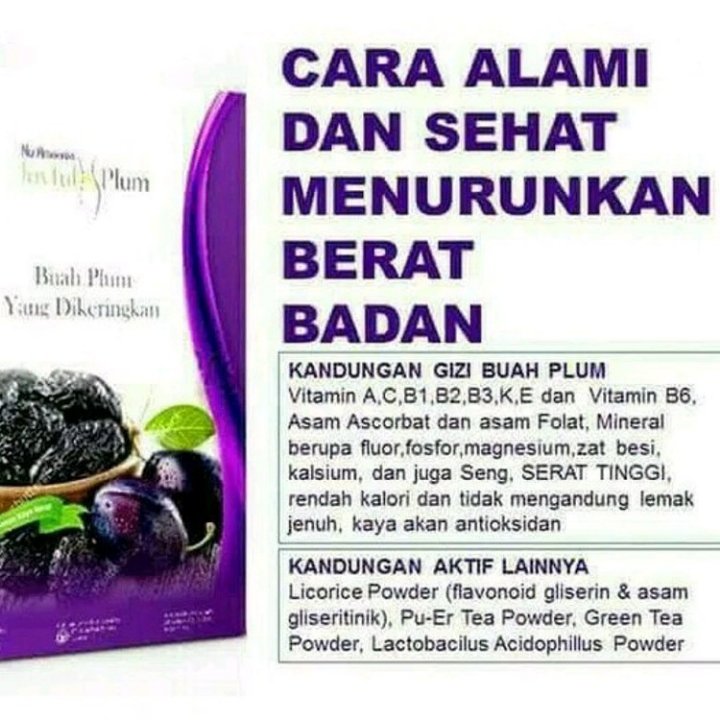 JOYFULL PLUM