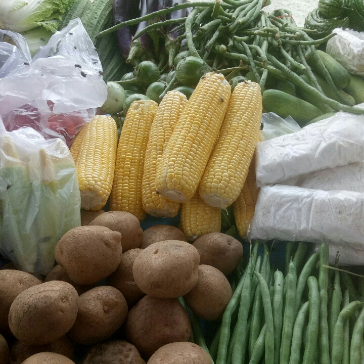 Jagung