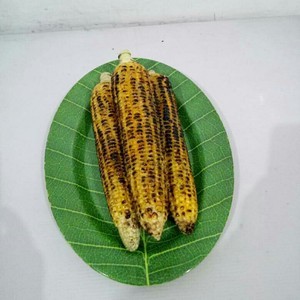 Jagung Bakar Batang