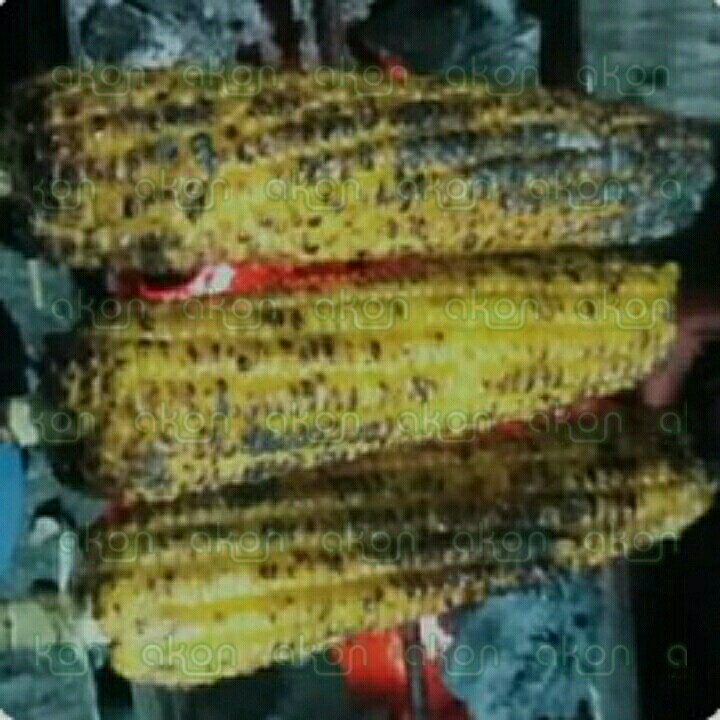 Jagung Bakar Manis