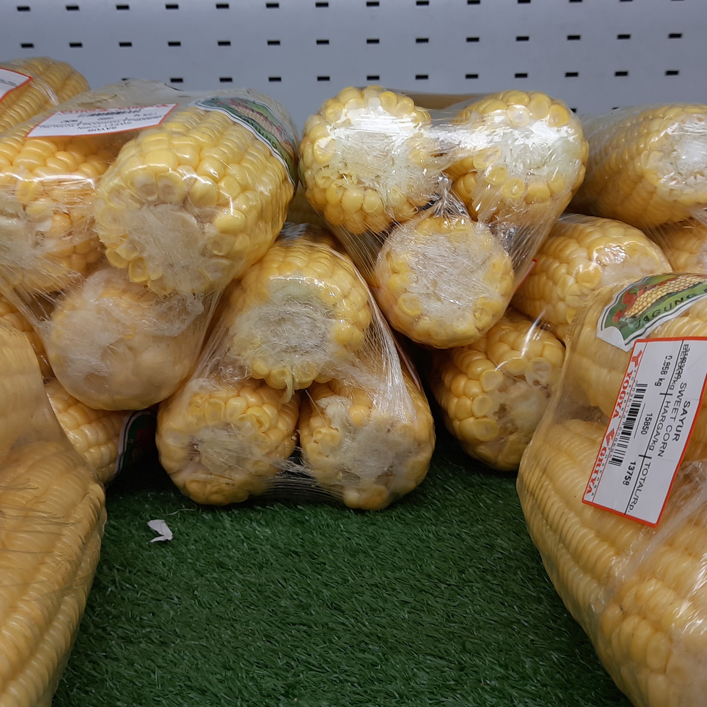 Jagung Manis