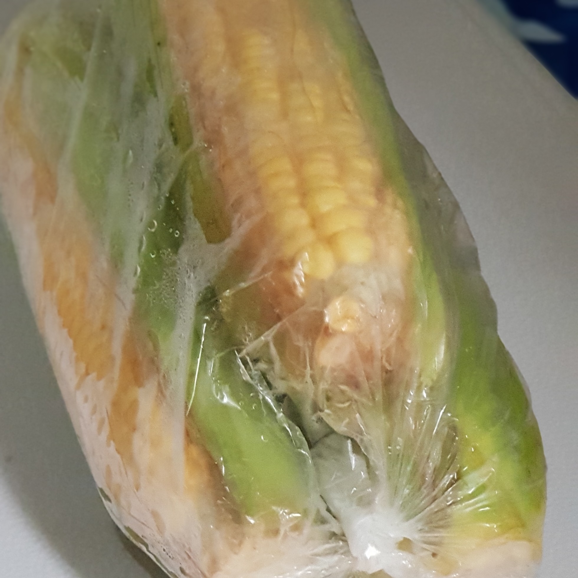 Jagung Manis