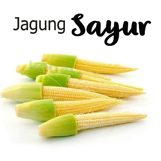 Jagung Mudah 1 Kg