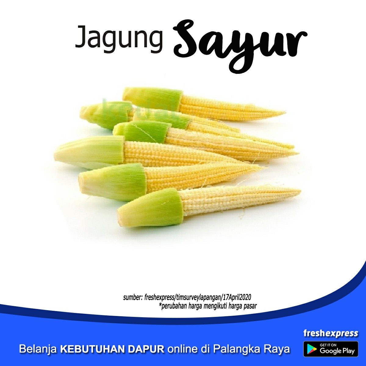 Jagung Sayur  1Kg