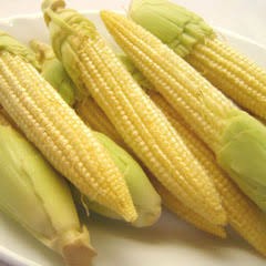 Jagung Sayur