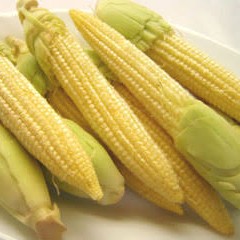 Jagung Sayur