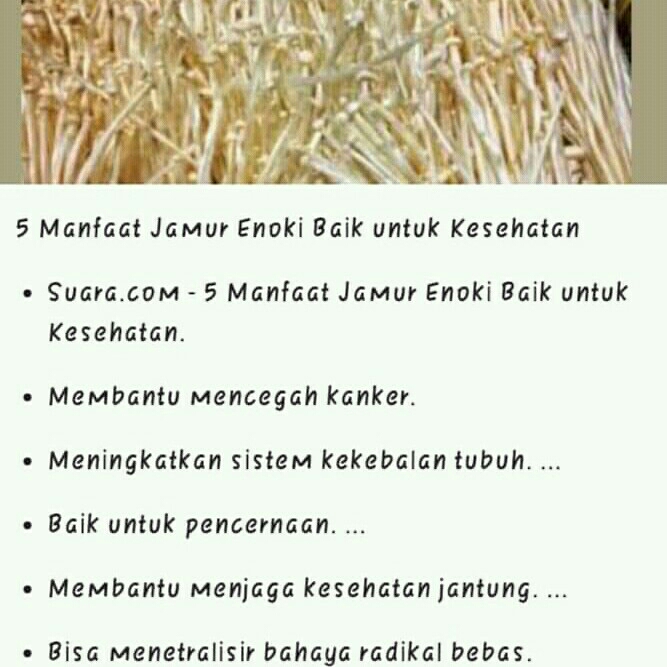 Jamur Enoki  3