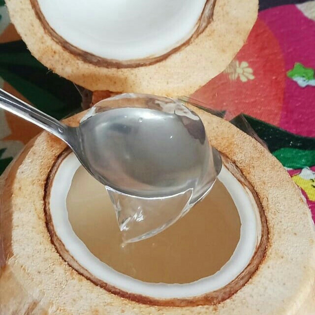 Jelly Coconut