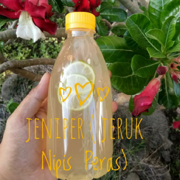 Jeniper Jeruk Nipis Peras