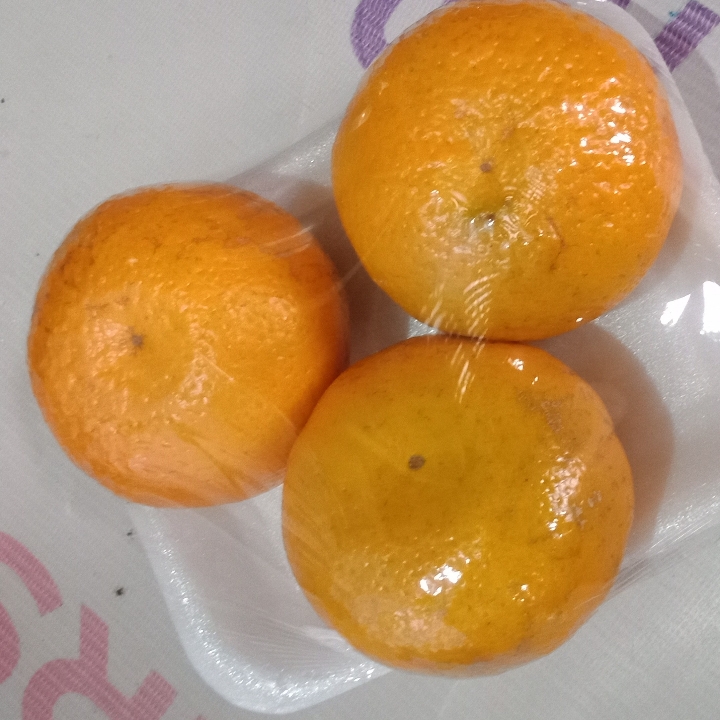 Jeruk Mandarin