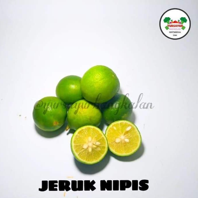 Jeruk Nipis