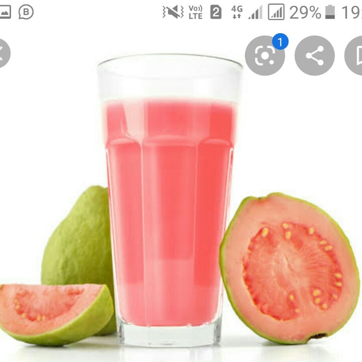 Juice Jambu Merah