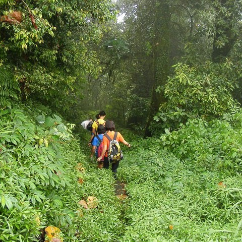 Jungle Trekking Tamblingan