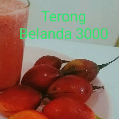 Jus Terong Belanda